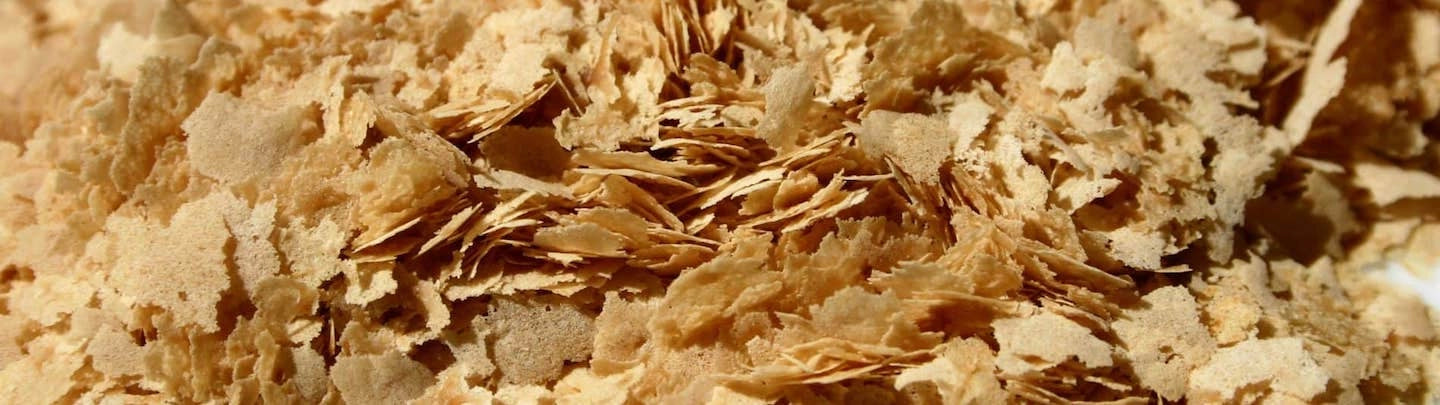 La levure de bière favorise-t-elle l'allaitement ?
