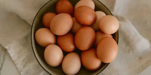 des oeufs illustrant la qualité ovocytaire