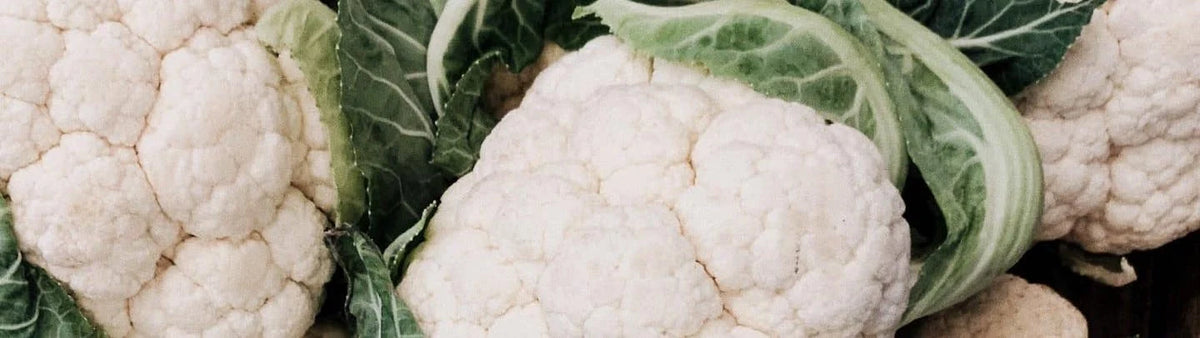 Gratin de chou-fleur