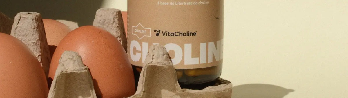 Choline et grossesse : l'importance de ce nutriment essentiel