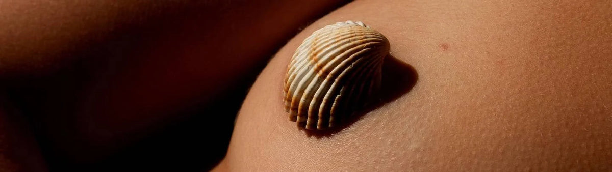 Les coquillages d’allaitement