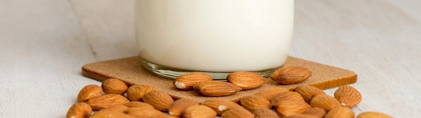 Quel lait végétal consommer ?