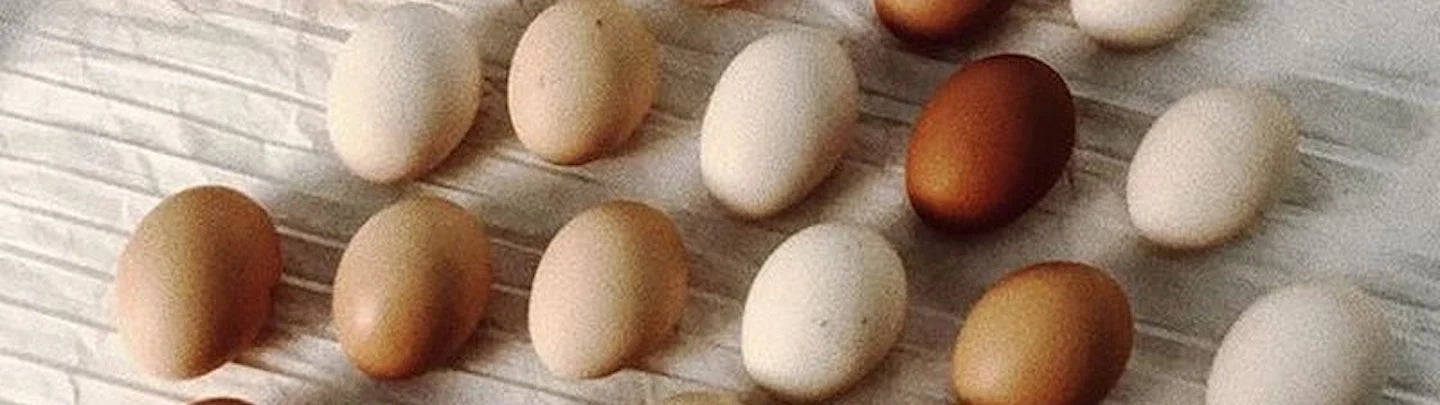 Comment tomber enceinte plus rapidement ?