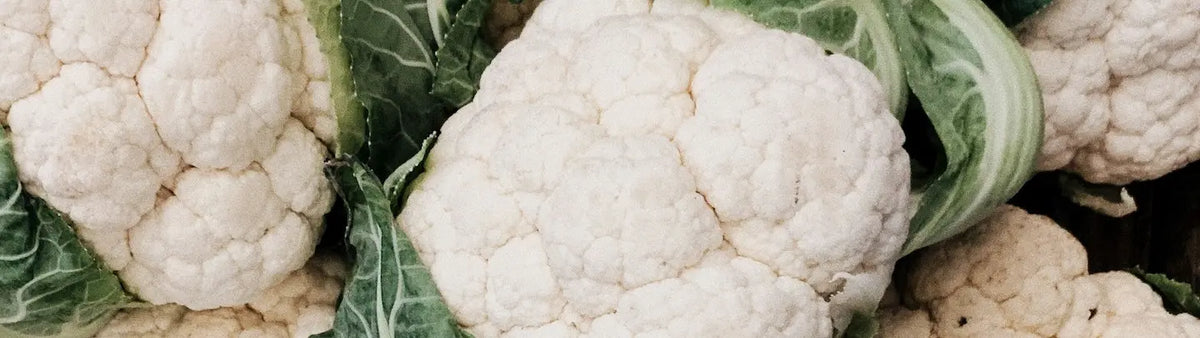 Gateau de chou-fleur vegan
