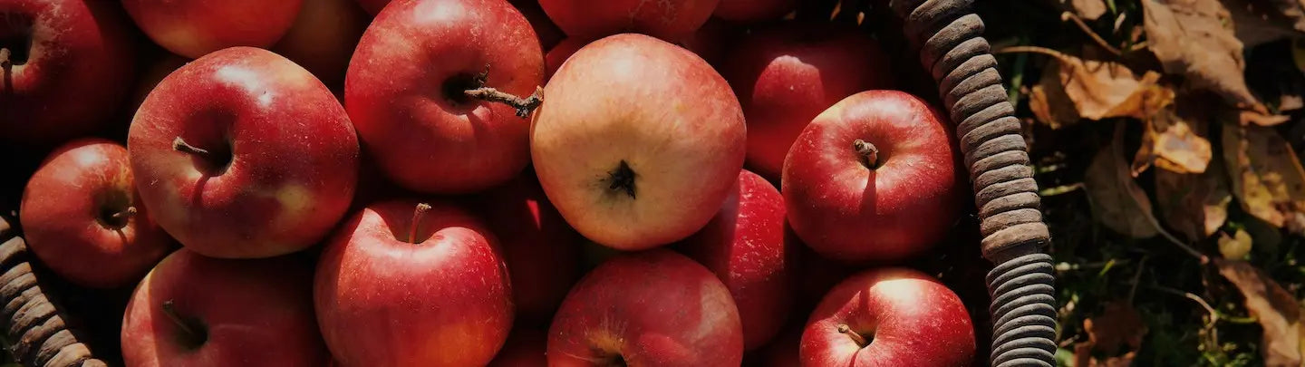 Pommes vapeurs infusées avec une tisane d'allaitement