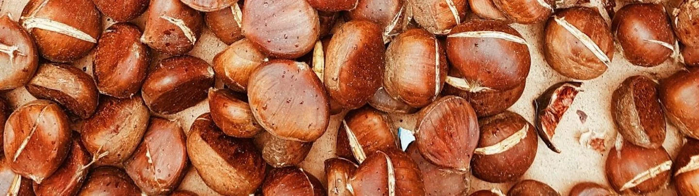 Moelleux chataigne sans protéines de lait de vache