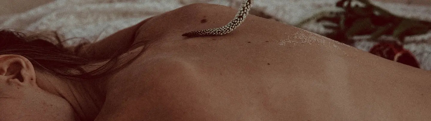 Ménopause vs Périménopause : Quelle différence et quels besoins nutritionnels ?