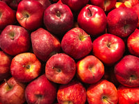 Extrait de fruit de pommier