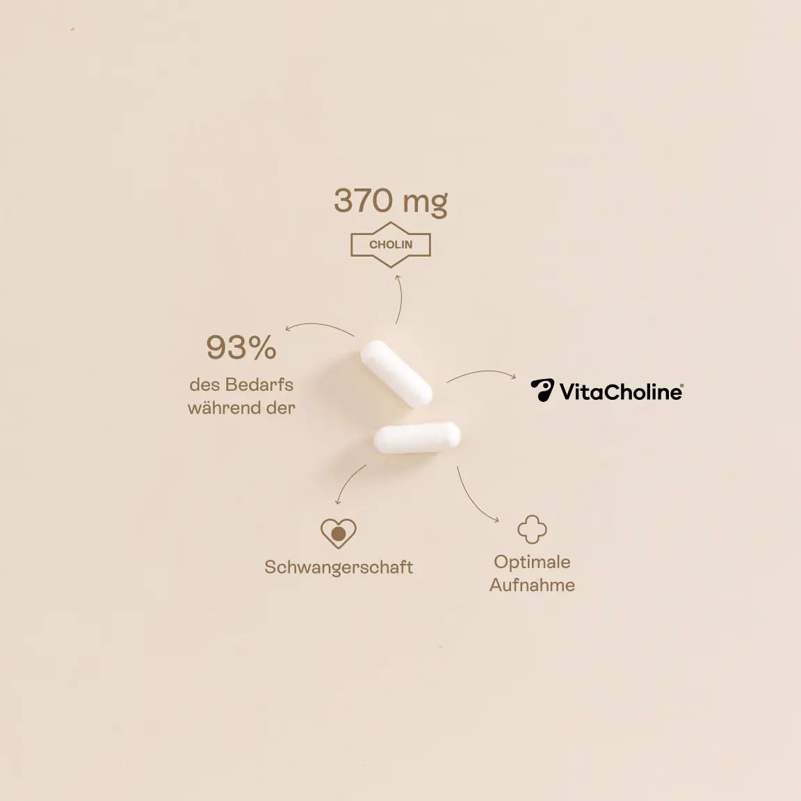Zwei Kapseln mit Cholinpräparat für die Schwangerschaft mit Pfeilen, die Folgendes anzeigen: 370 mg Cholin in der Form von VitaCholine, 93 % des Schwangerschaftsbedarfs, optimale Aufnahme.





