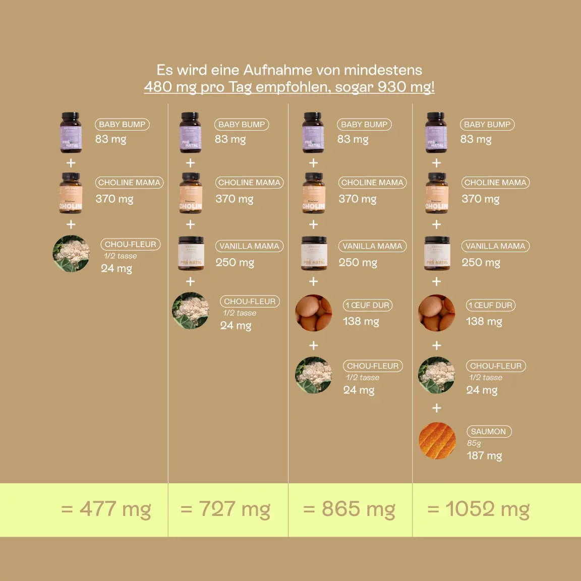 Infografik mit den empfohlenen Cholinmengen während der Schwangerschaft: mindestens 480 mg pro Tag, idealerweise bis zu 930 mg.