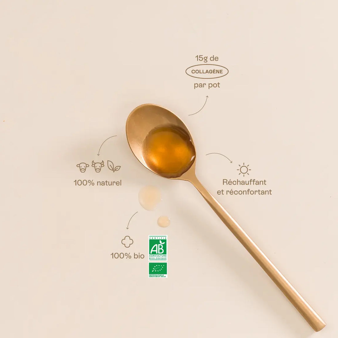 bienfaits bouillon de boeuf