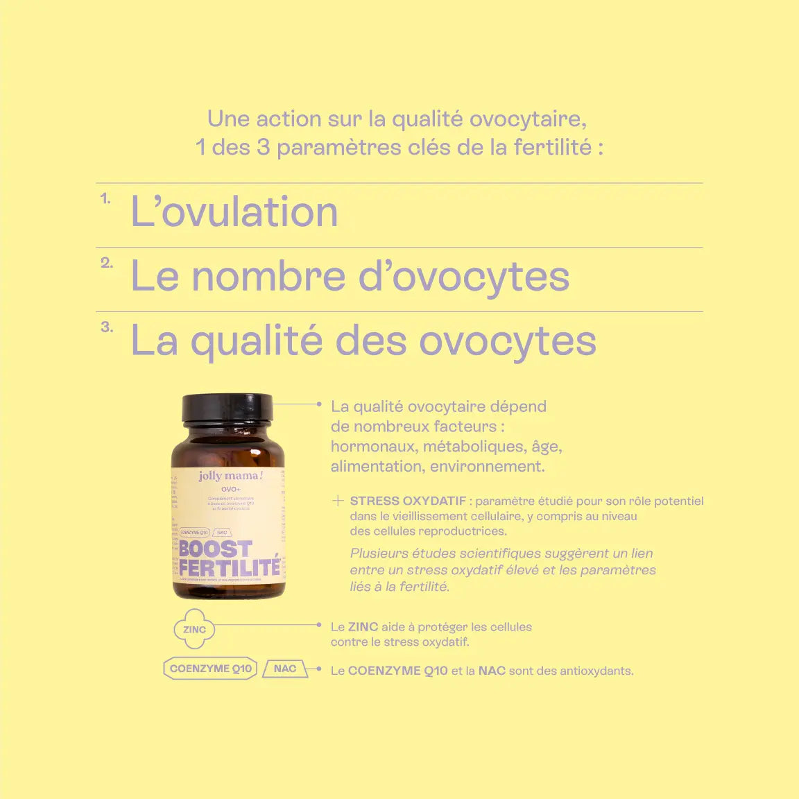 paramètres essentiels de la fertilité (ovulation, nombres d'ovoyctes, qualité ovocytaire)