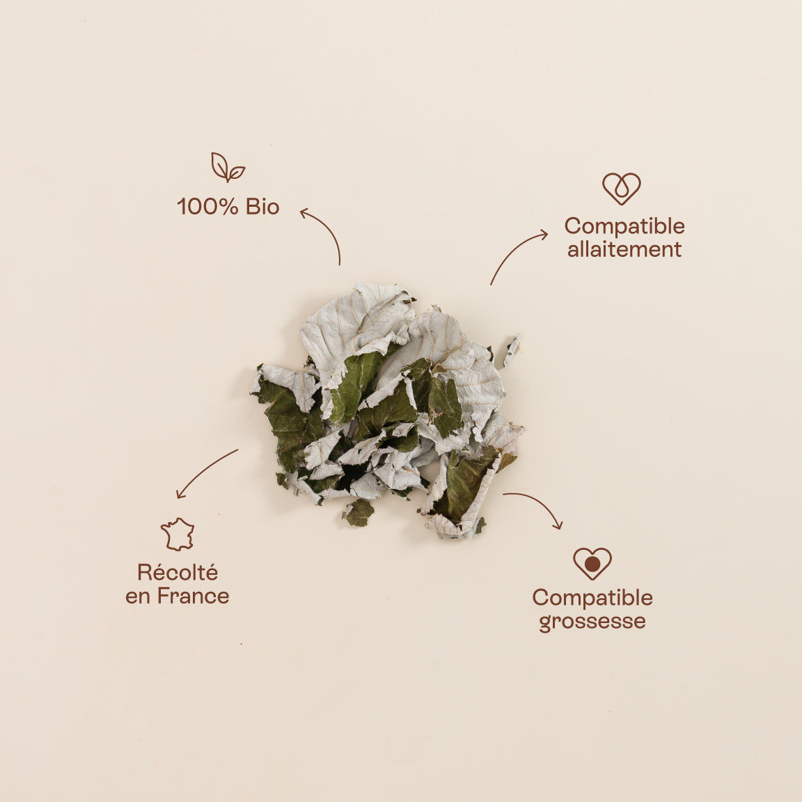Feuilles de framboisier bio compatibles grossesse et allaitement – 100% naturelles, récoltées en France
