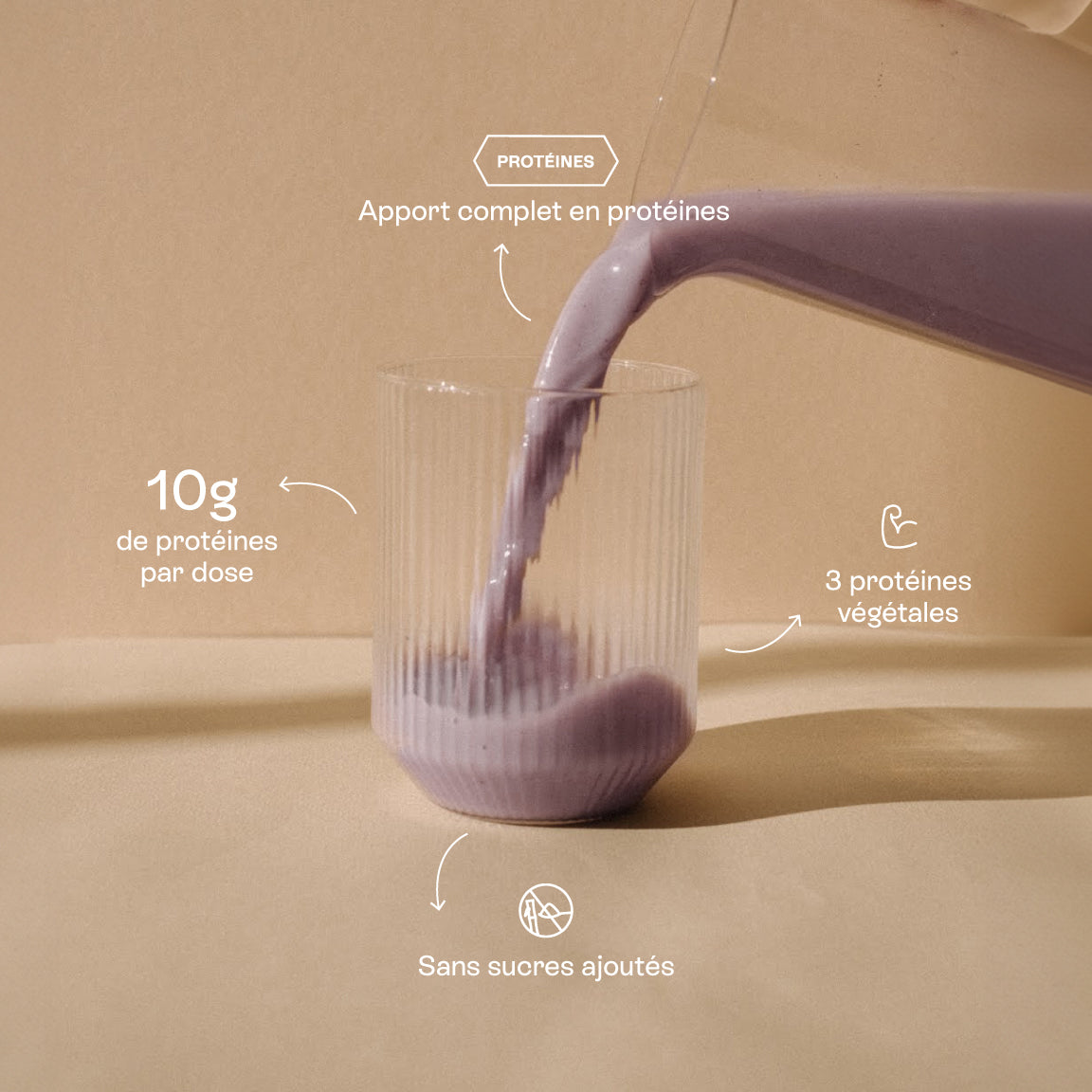 Purple Power Jolly Mama – poudre protéines végétales bio (pois, riz, chanvre) goût myrtille & acai, sans gluten