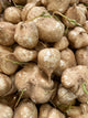 Maca