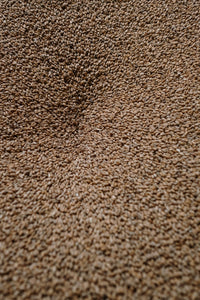 Malt d orge