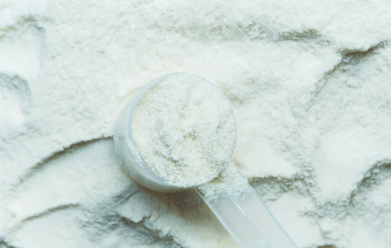 Qu est ce que la creatine monohydrate