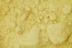Tryptophane 1