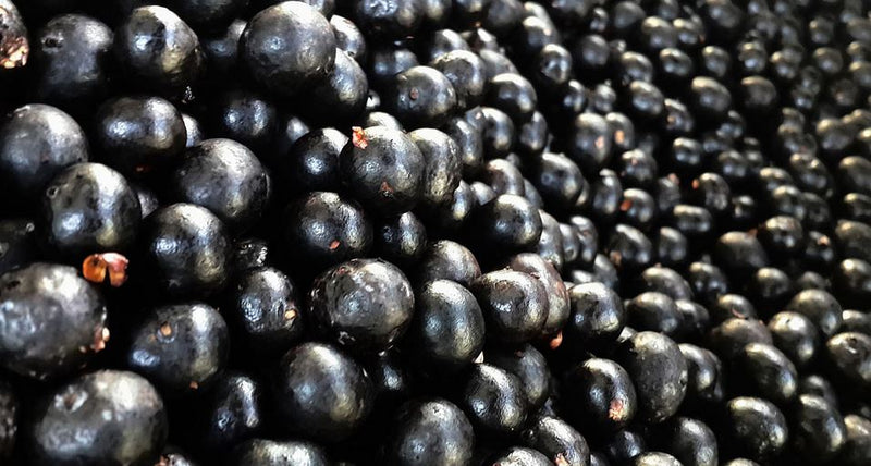 acai
