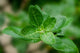 bankim desai 8N1eixz3M7c unsplash