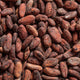 cacao