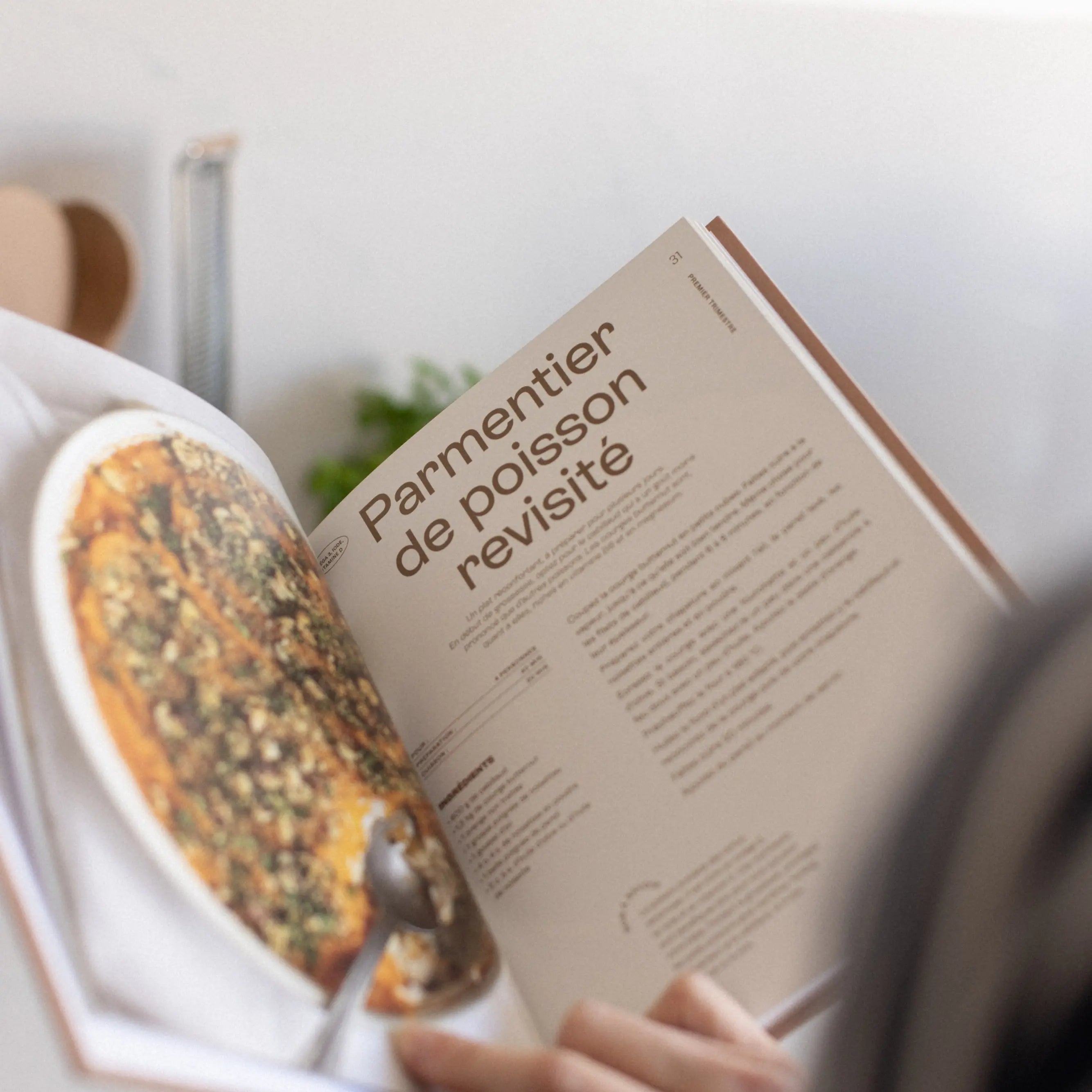 Livre recettes grossesse Jolly Mama – 40 recettes savoureuses et bien-être selon les trimestres