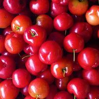 ingredient acerola