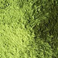 ingredient moringa