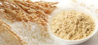 isolat de proteines de riz