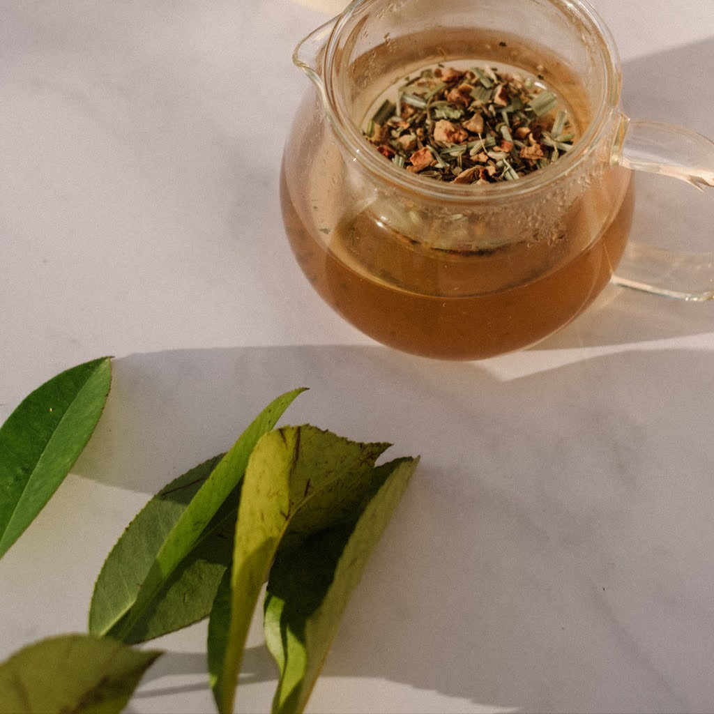 photo tisane allaitement dans une théière transparente