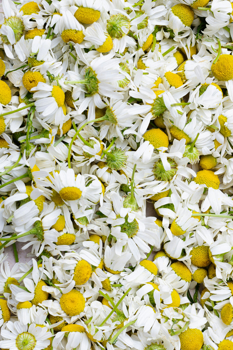 monika grabkowska 7RfJKheqw00 unsplash