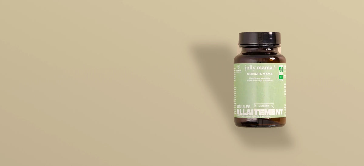 moringa mama A pot droite