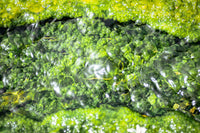 pexels mahmoud yahyaoui 31346570