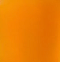 vinaigre de cidre de pomme