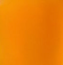 vinaigre de cidre de pomme