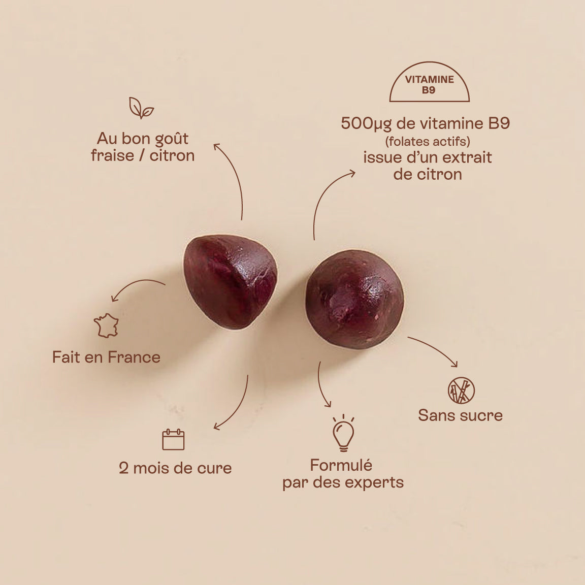 Complément alimentaire Lemon Folates : 500 µg de folates actifs par jour pour fertilité & grossesse